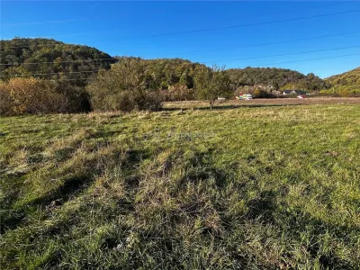 Terrain à Bocsa 2754 m² - foto 5