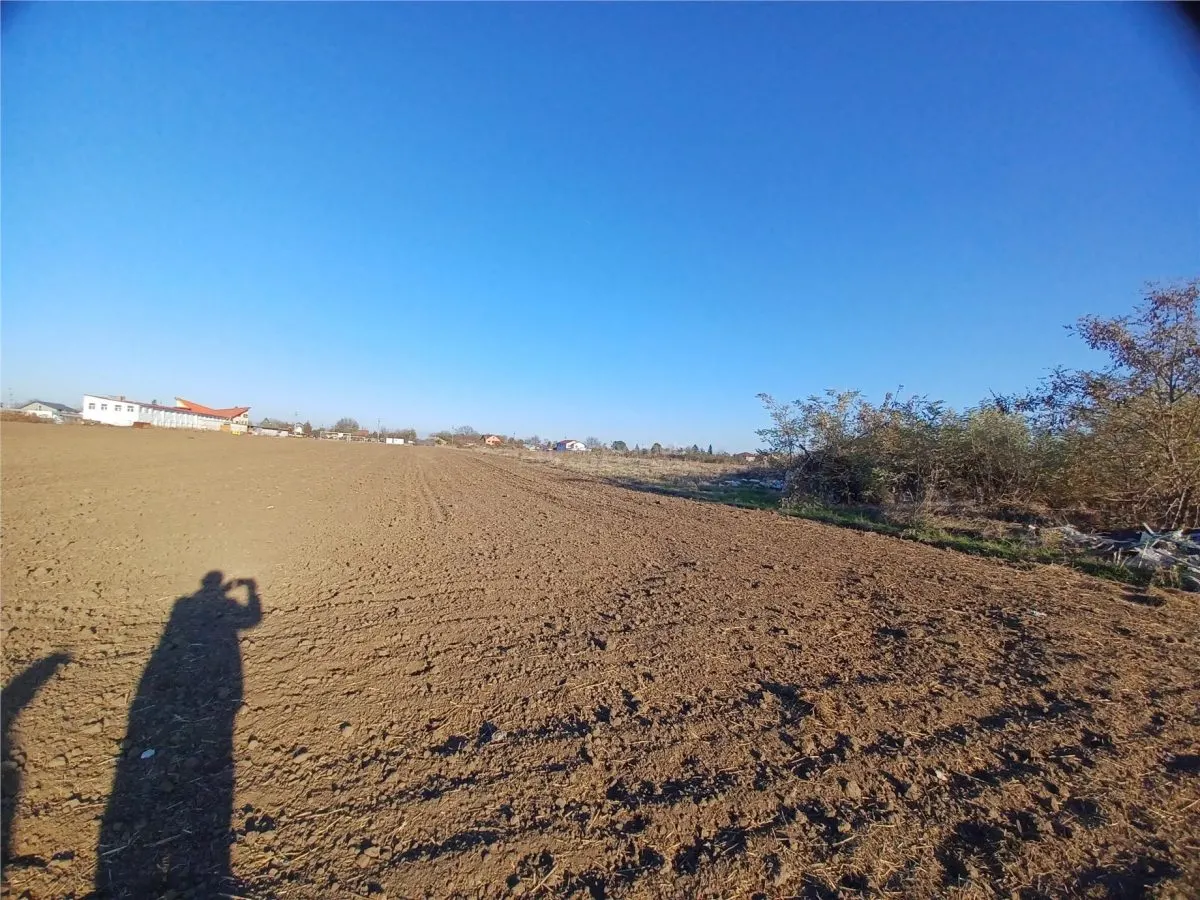 Terreno Frumusani con Frente a Calle – Mega Image - foto 2