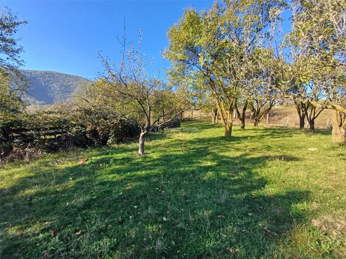 Terrain à Vendre avec Tous les Services à la Porte, Gura Raului - foto 2