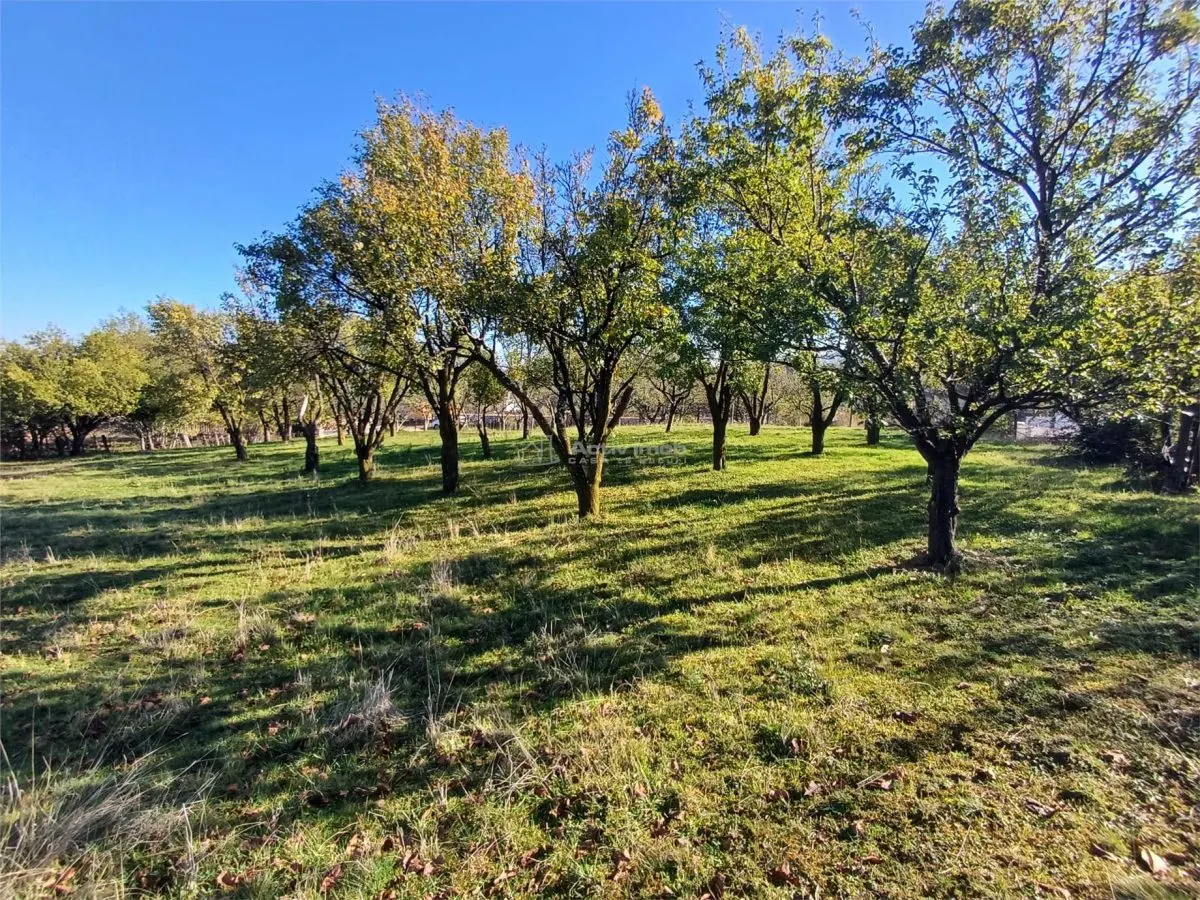 Terrain à Vendre avec Tous les Services à la Porte, Gura Raului - foto 3