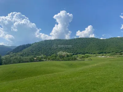 Terrain à Vendre avec Tous les Services à la Porte, Gura Raului - foto 4
