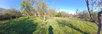 Terrain à Vendre avec Tous les Services à la Porte, Gura Raului - foto 5