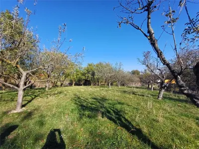 Terrain à Vendre avec Tous les Services à la Porte, Gura Raului - foto 6
