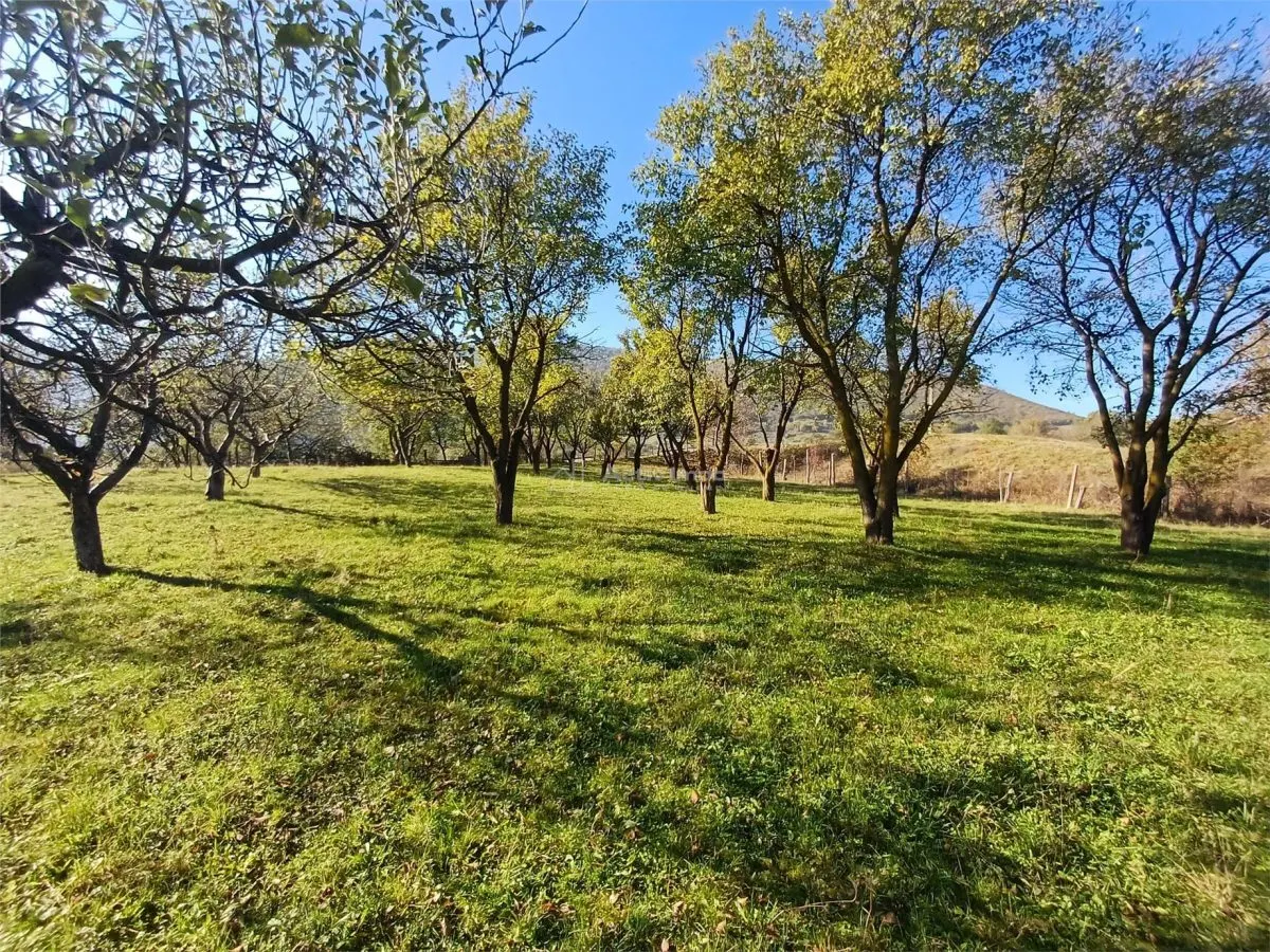 Terrain à Vendre avec Tous les Services à la Porte, Gura Raului - foto 7