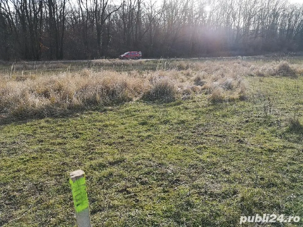 Terreno zona Baneasa – Excelente ubicación - foto 6