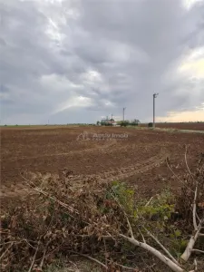 占地15000平方米的城市用地，临DN 1 A道路38米门面，位于拜科伊 - Baicoi