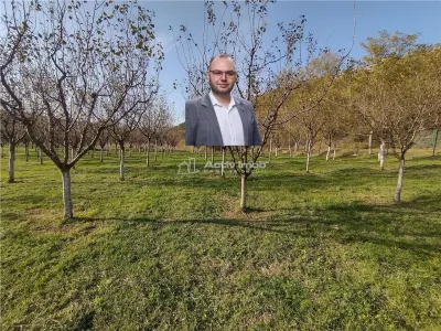 Slatina-Nera, 1445 m² Parcela Junto a Carretera, Adyacente al Río Nera - Sasca Montana