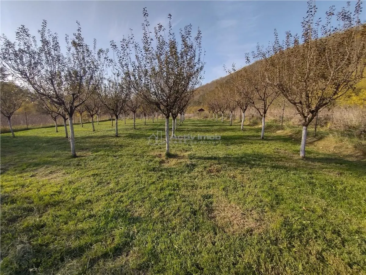Slatina-Nera, 1445 m² Terrain Routier Bordant la Rivière Nera - foto 11