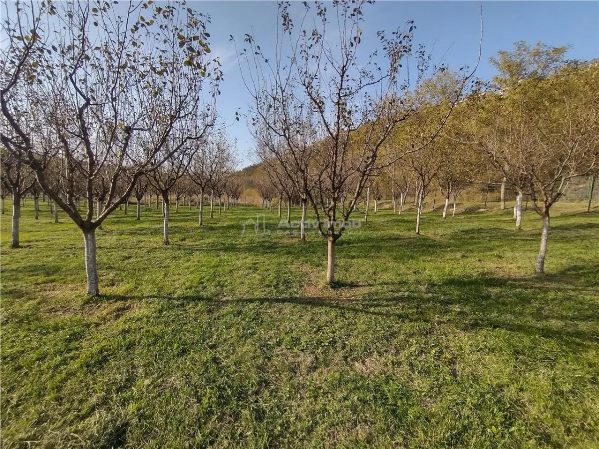 Slatina-Nera, 1445 m² Terrain Routier Bordant la Rivière Nera - foto 12