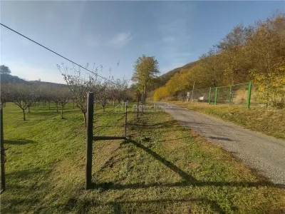Slatina-Nera, 1445 m² Terrain Routier Bordant la Rivière Nera - foto 6