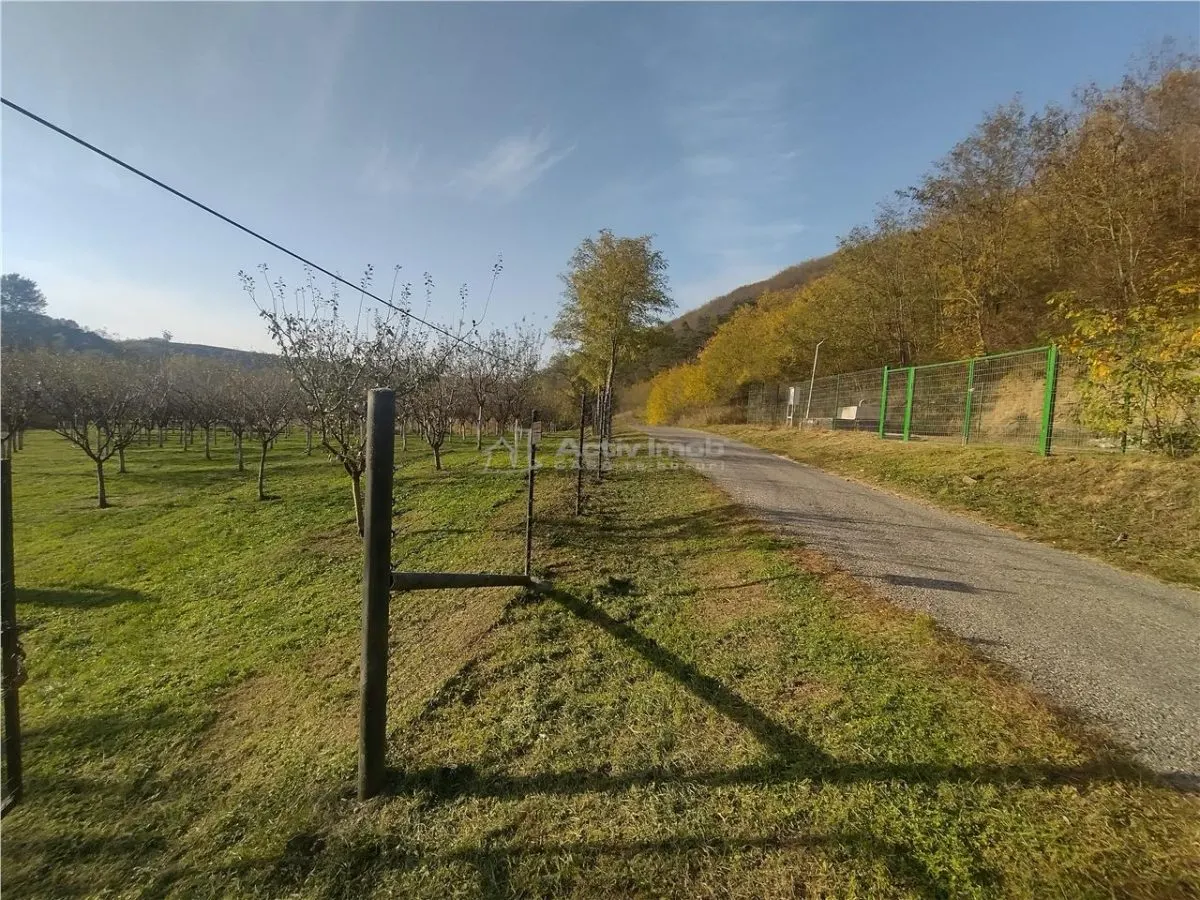 Slatina-Nera, 1445 m² Terrain Routier Bordant la Rivière Nera - foto 6