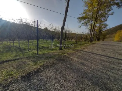 Slatina-Nera, 1445 m² Terrain Routier Bordant la Rivière Nera - foto 7