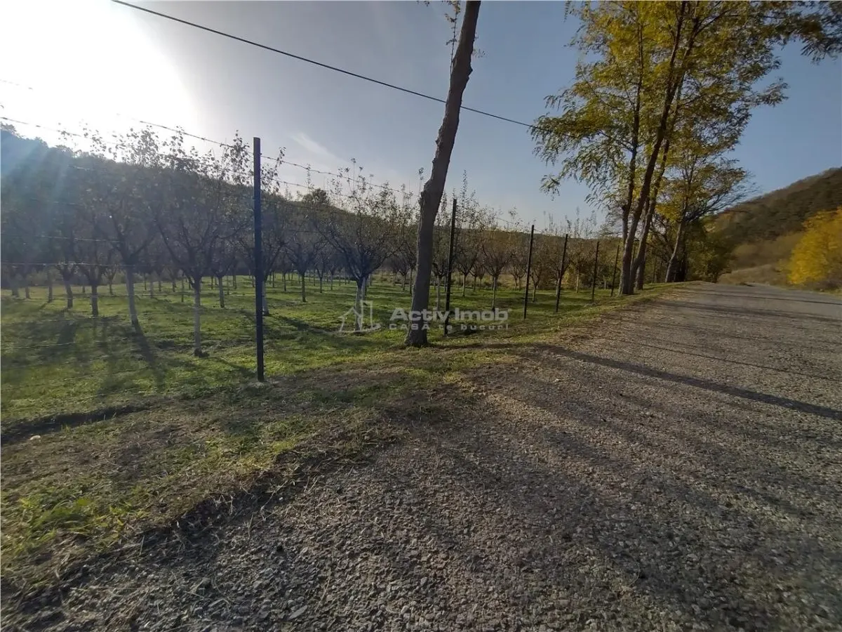 Slatina-Nera, 1445 m² Terrain Routier Bordant la Rivière Nera - foto 7