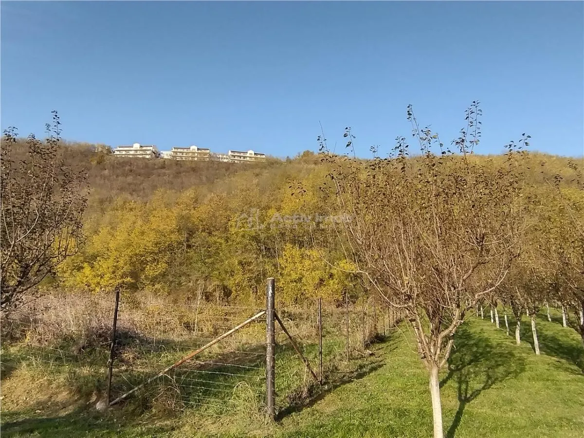 Slatina-Nera, 1445 m² Terrain Routier Bordant la Rivière Nera - foto 8
