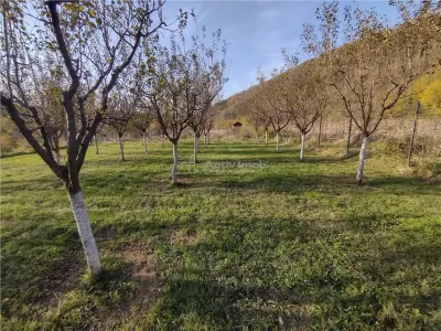 Slatina-Nera, 1445 m² Terrain Routier Bordant la Rivière Nera - foto 10