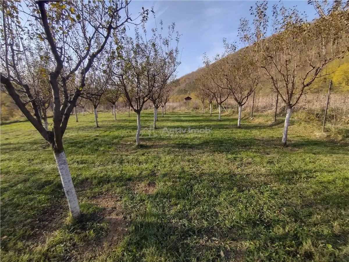 Slatina-Nera, 1445 m² Terrain Routier Bordant la Rivière Nera - foto 10