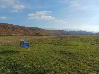 Terreno de 1 Hectárea para Construcción Residencial - Talmaciu