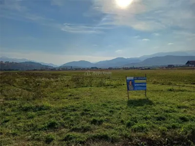 Terrain de 1 Hectare pour Construction Résidentielle - foto 5