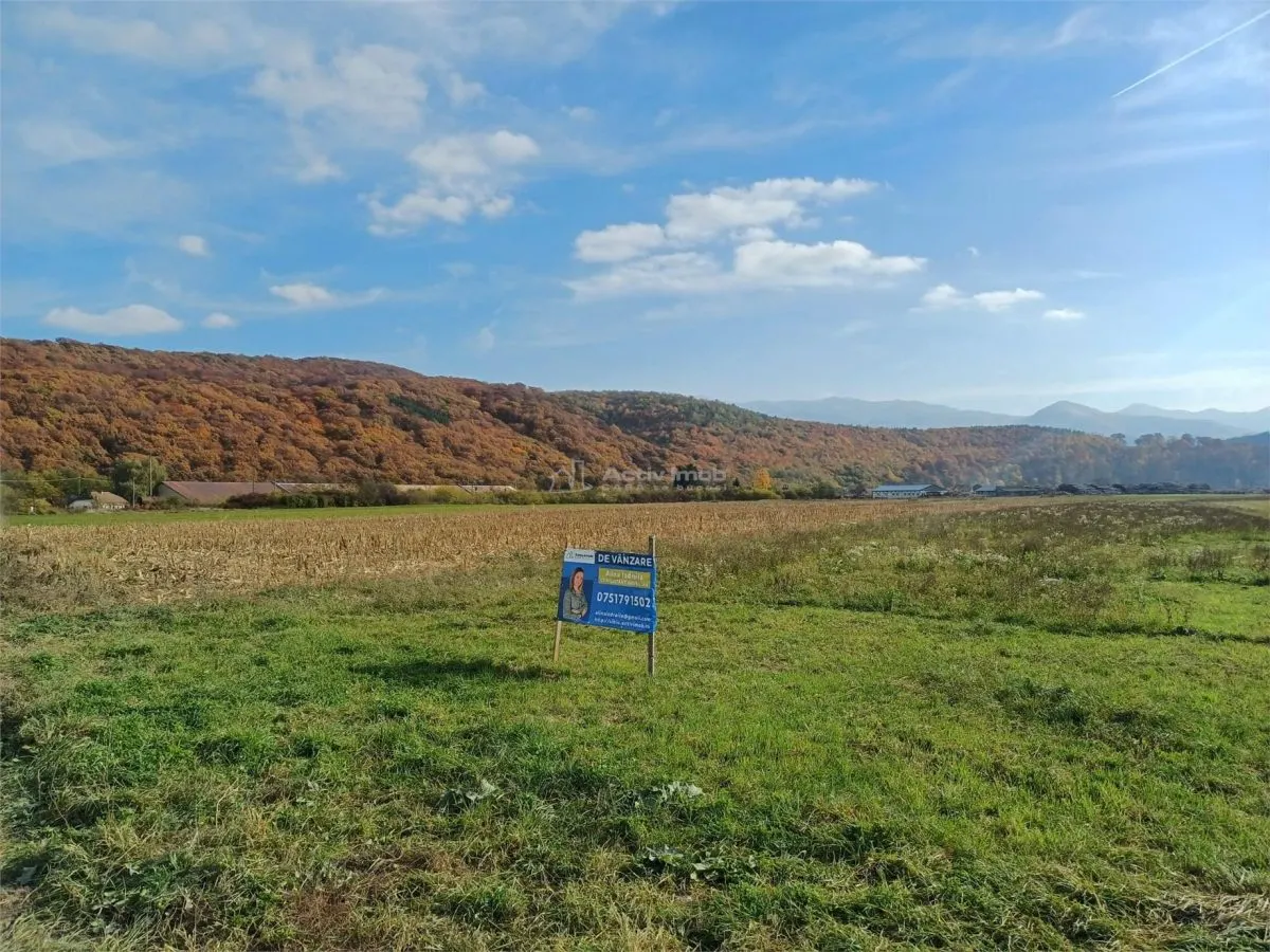 Terrain de 1 Hectare pour Construction Résidentielle - foto 6