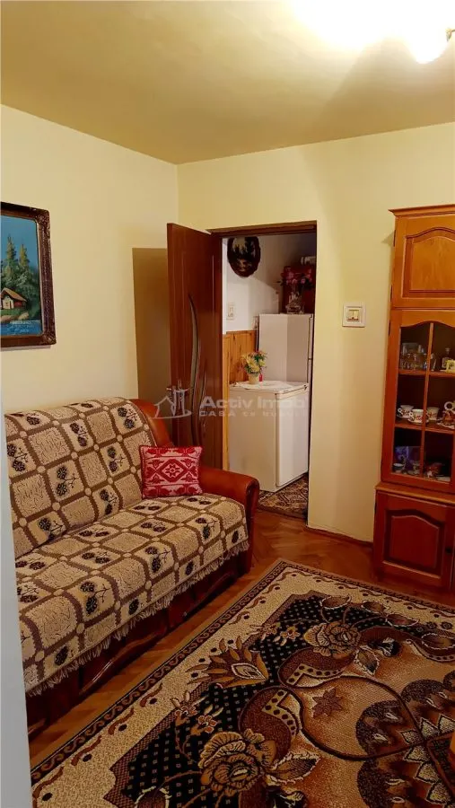 Moldova Noua, Apartamento de 2 Dormitorios Semidocumentado - foto 13