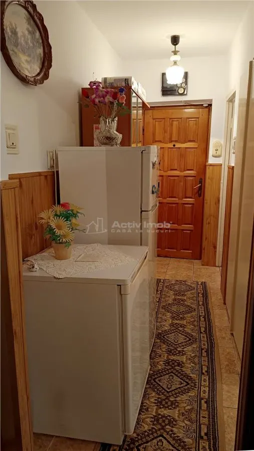 Moldova Noua, Apartamento de 2 Dormitorios Semidocumentado - foto 14
