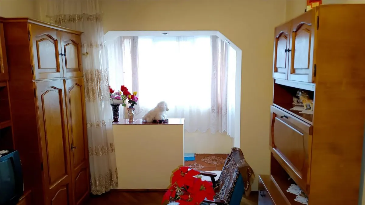 Moldova Noua, Apartamento de 2 Dormitorios Semidocumentado - foto 8