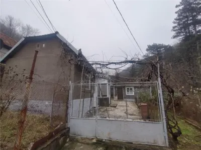 Maison de Vacances Oravita, Prix Fixe, Secteur Lac Grand - foto 15