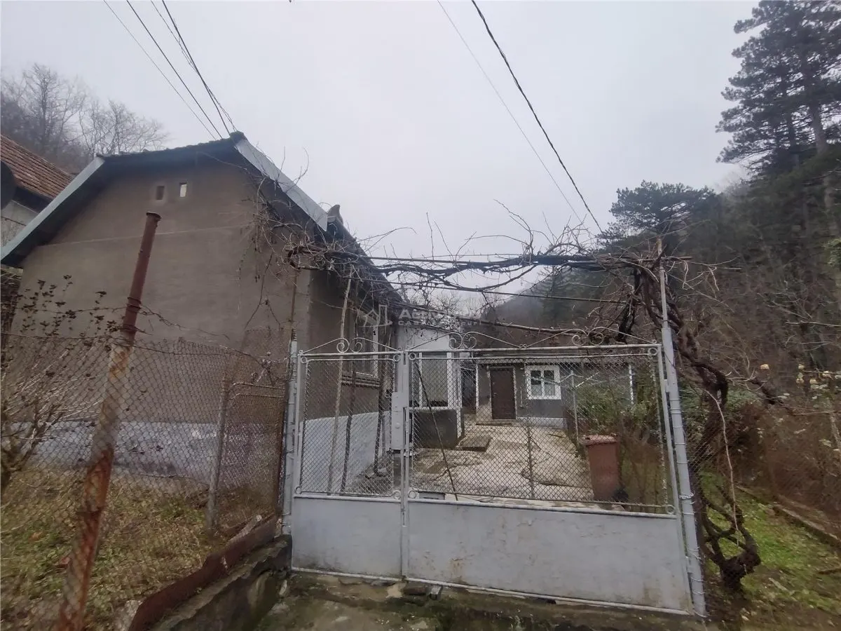 Maison de Vacances Oravita, Prix Fixe, Secteur Lac Grand - foto 15