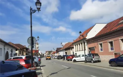 Baia Mare | Casa de Tres Dormitorios | Centro Histórico - foto 14