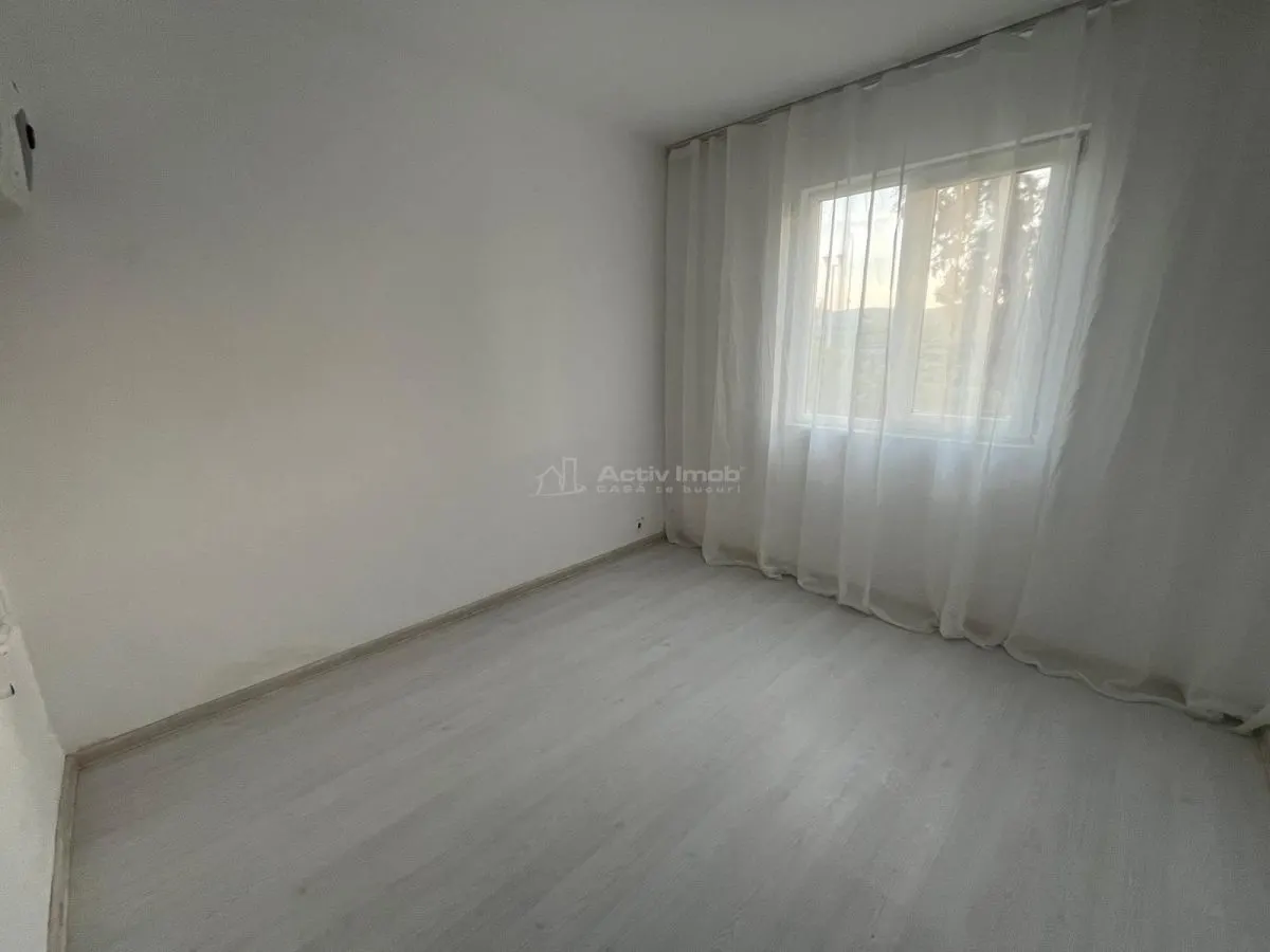 Caransebes, Estudio Recientemente Reformado, Balta Sarata - foto 7