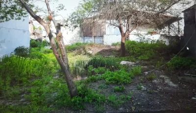 布加勒斯特新城住宅用地 - 优越地理位置 - foto 2