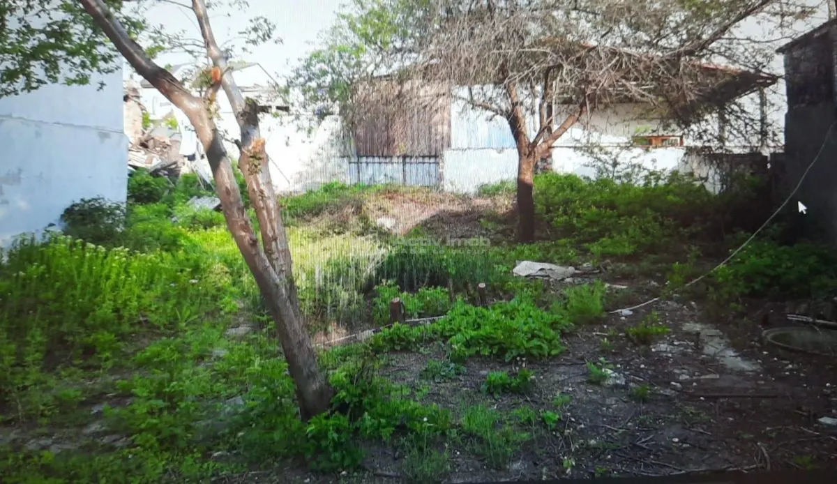 布加勒斯特新城住宅用地 - 优越地理位置 - foto 2