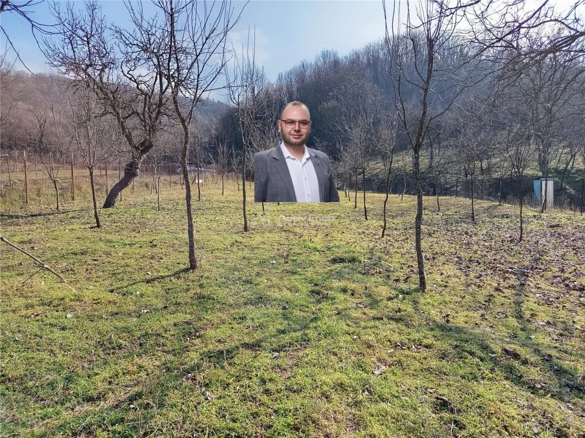 Ciclova Romana, Terreno Intraurbano 1800m², Centro, Negociable - foto 1