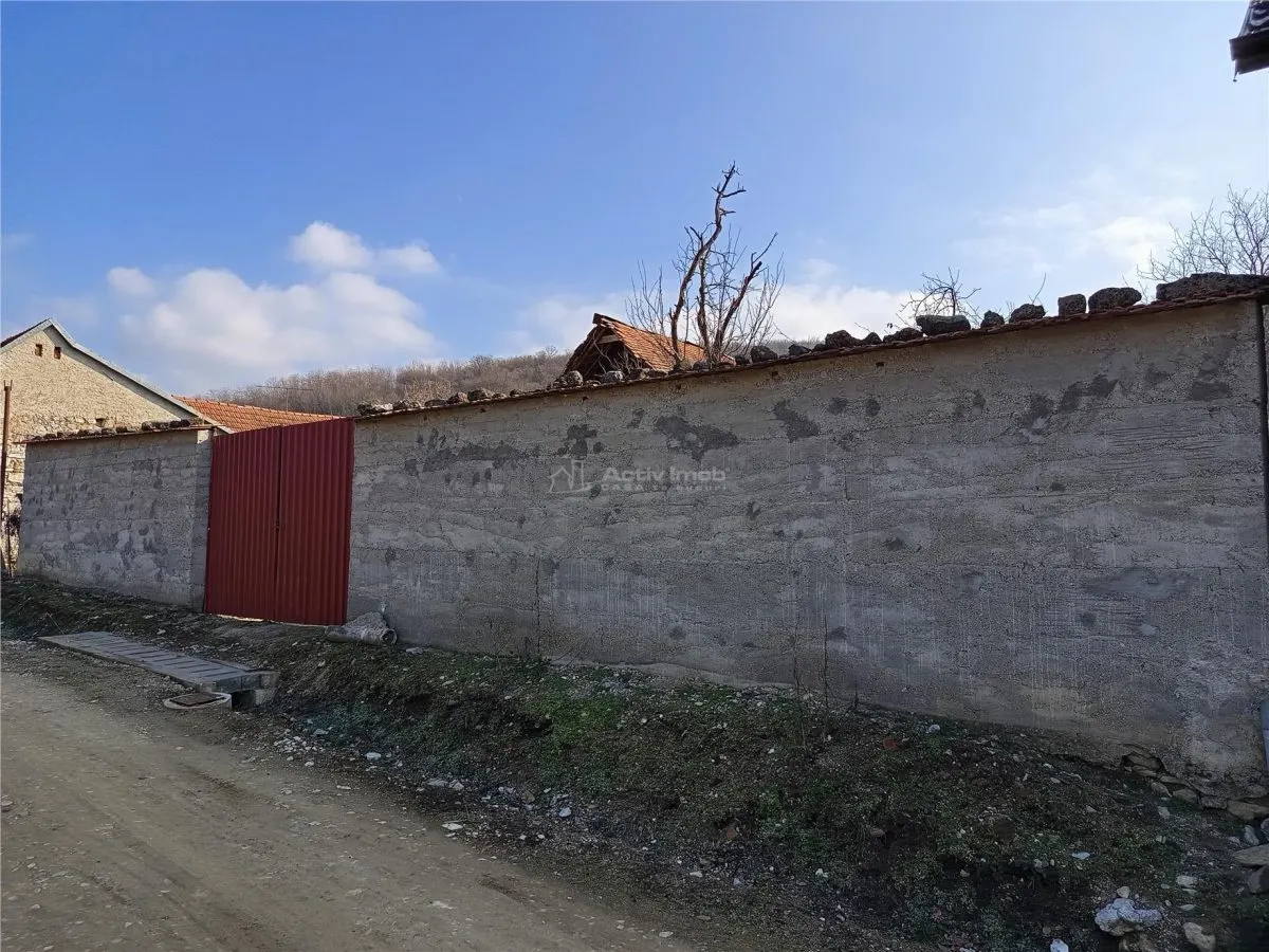 Ciclova Romana, Terreno Intraurbano 1800m², Centro, Negociable - foto 2