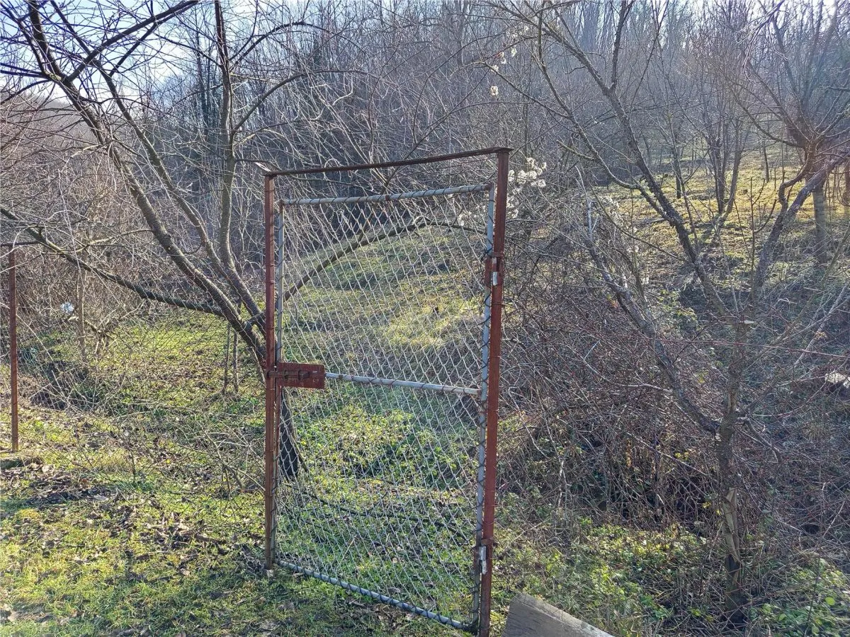Ciclova Romana, Terreno Intraurbano 1800m², Centro, Negociable - foto 11