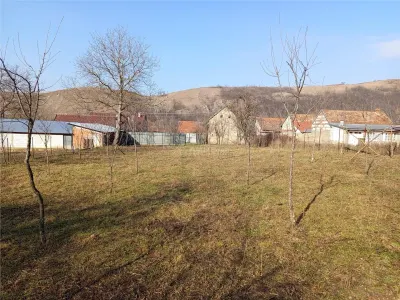 Ciclova Romana, Terreno Intraurbano 1800m², Centro, Negociable - foto 12