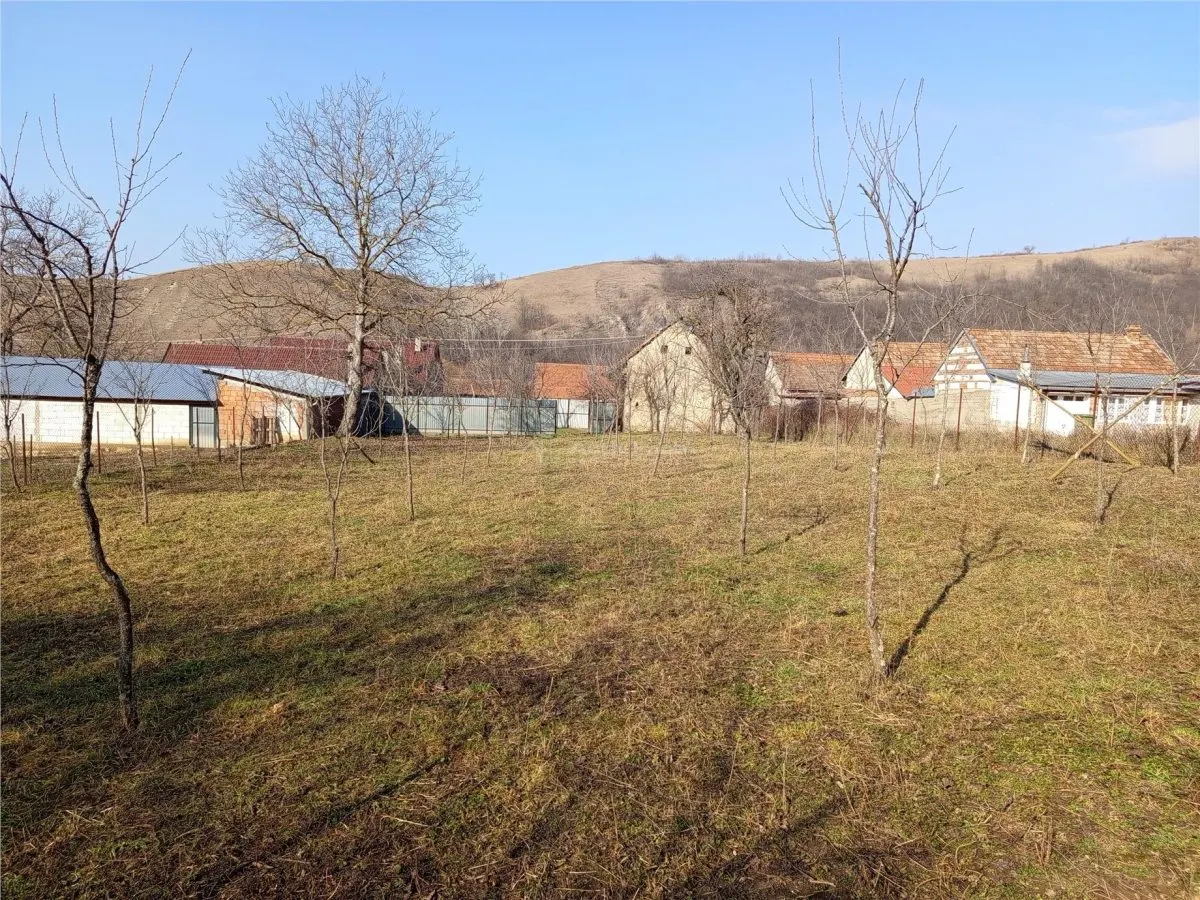 Ciclova Romana, Terreno Intraurbano 1800m², Centro, Negociable - foto 12