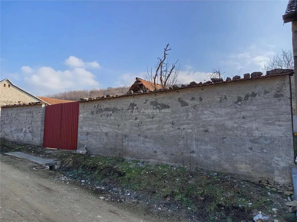 Ciclova Romana, Terreno Intraurbano 1800m², Centro, Negociable - foto 15