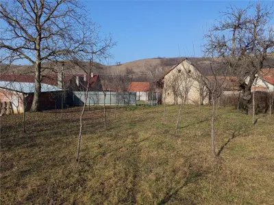 Ciclova Romana, Terreno Intraurbano 1800m², Centro, Negociable - foto 9