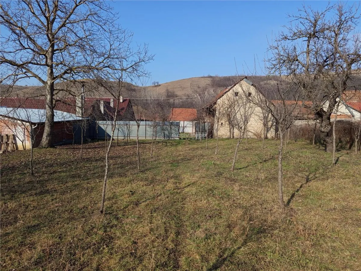 Ciclova Romana, Terreno Intraurbano 1800m², Centro, Negociable - foto 9