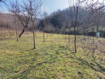 Ciclova Romana, Terreno Intraurbano 1800m², Centro, Negociable - foto 10