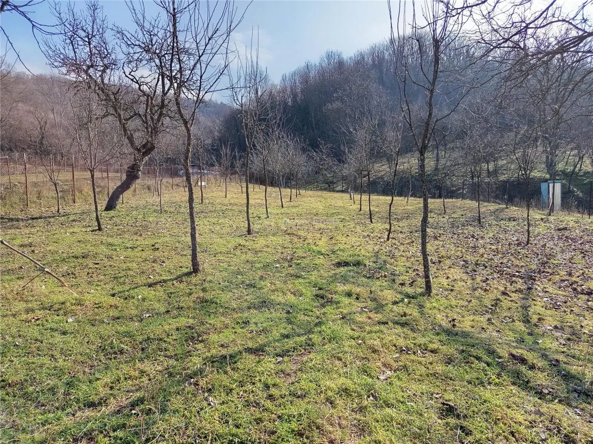 Ciclova Romana, Terreno Intraurbano 1800m², Centro, Negociable - foto 10