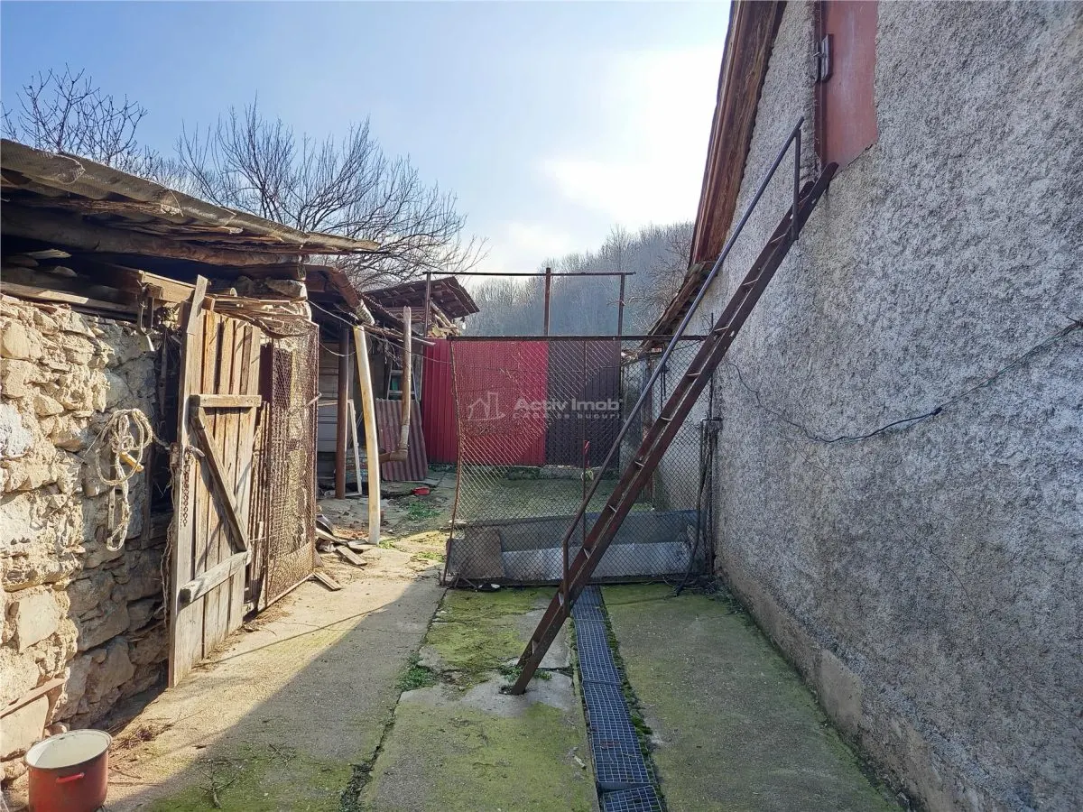 Ciclova, Maison de 10 Pièces pour Deux Familles, 1.439 m² de Terrain - foto 22