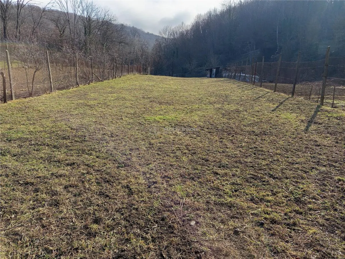 Ciclova, Maison de 10 Pièces pour Deux Familles, 1.439 m² de Terrain - foto 9