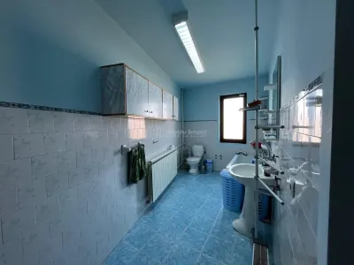 Lugoj, Villa P+2+Mansarde, 656 m², Construite, Opportunité d'Investissement, Localisation Stratégique - foto 14