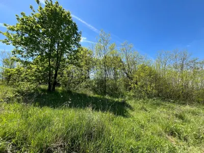 Terrain Lugoj 5.300 m², Dealul Viilor, Vues Impressionnantes - foto 11