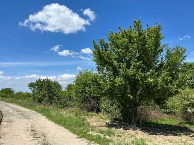 Terrain Lugoj 5.300 m², Dealul Viilor, Vues Impressionnantes - foto 12