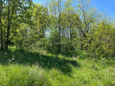 Terrain Lugoj 5.300 m², Dealul Viilor, Vues Impressionnantes - foto 4