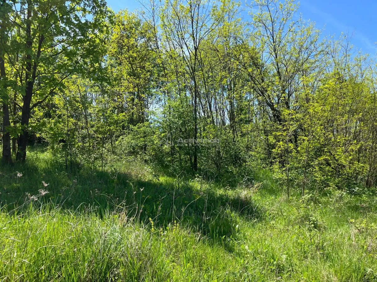 Terrain Lugoj 5.300 m², Dealul Viilor, Vues Impressionnantes - foto 4
