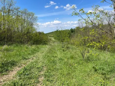 Terrain Lugoj 5.300 m², Dealul Viilor, Vues Impressionnantes - foto 5